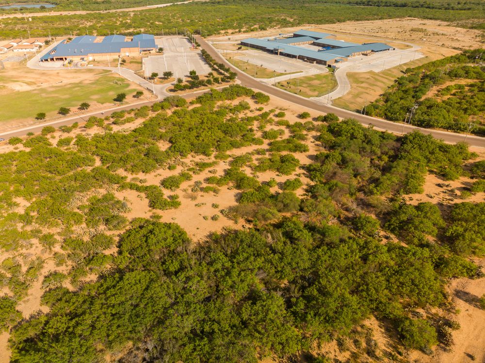 CIELITO LINDO BLVD PRIME DEVELOPMENT: CIELITO LINDO BLVD, Laredo, TX 78046